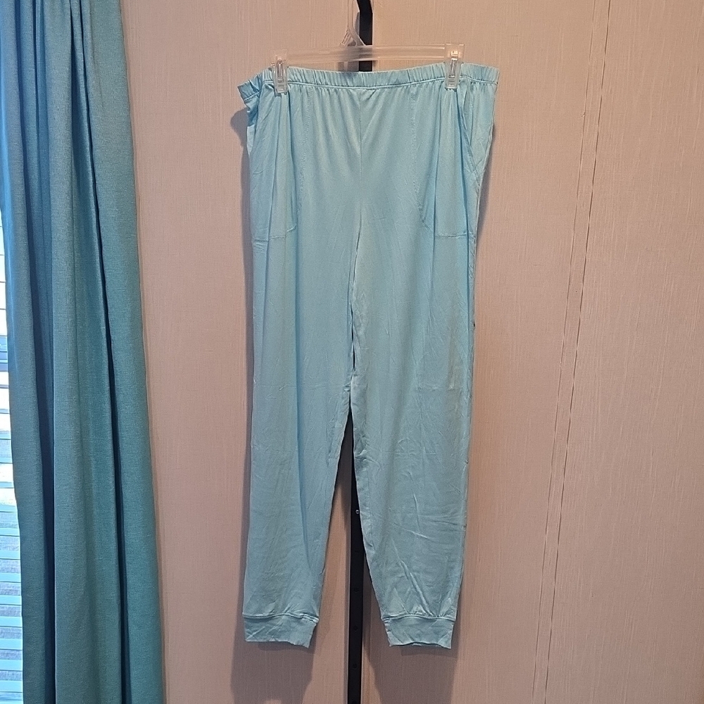 (J34) Secret Treasures Light Blue Pajama Pants Only Sz L
